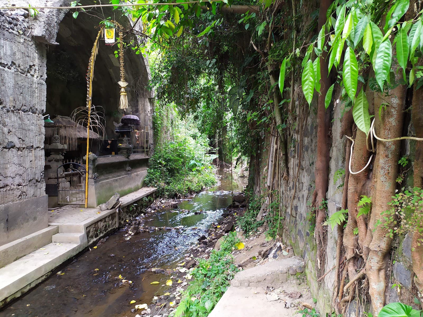 Bali, 4