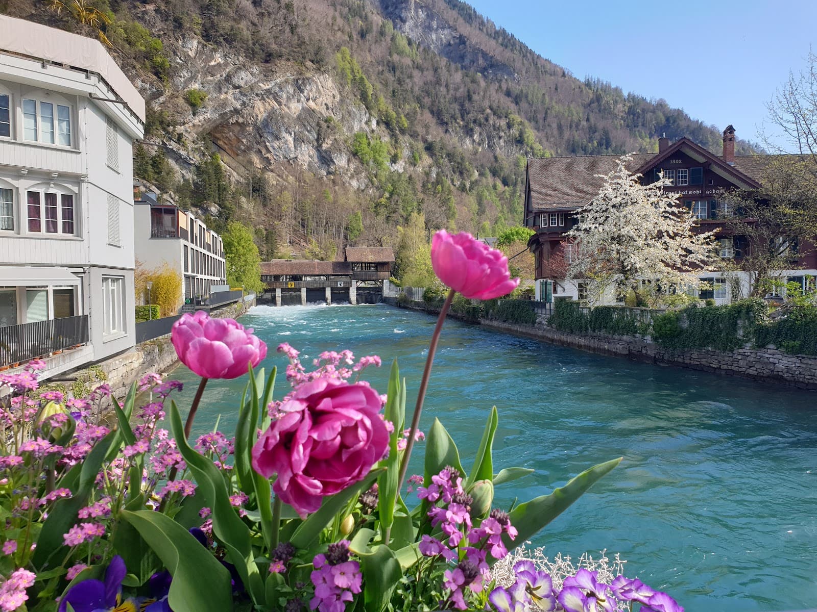 Interlaken, 3