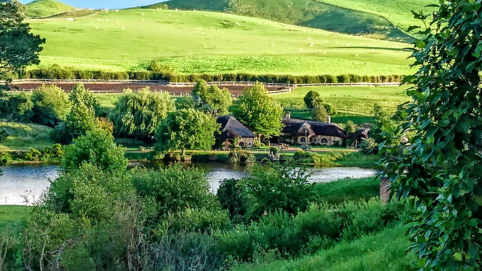 Matamata, 2