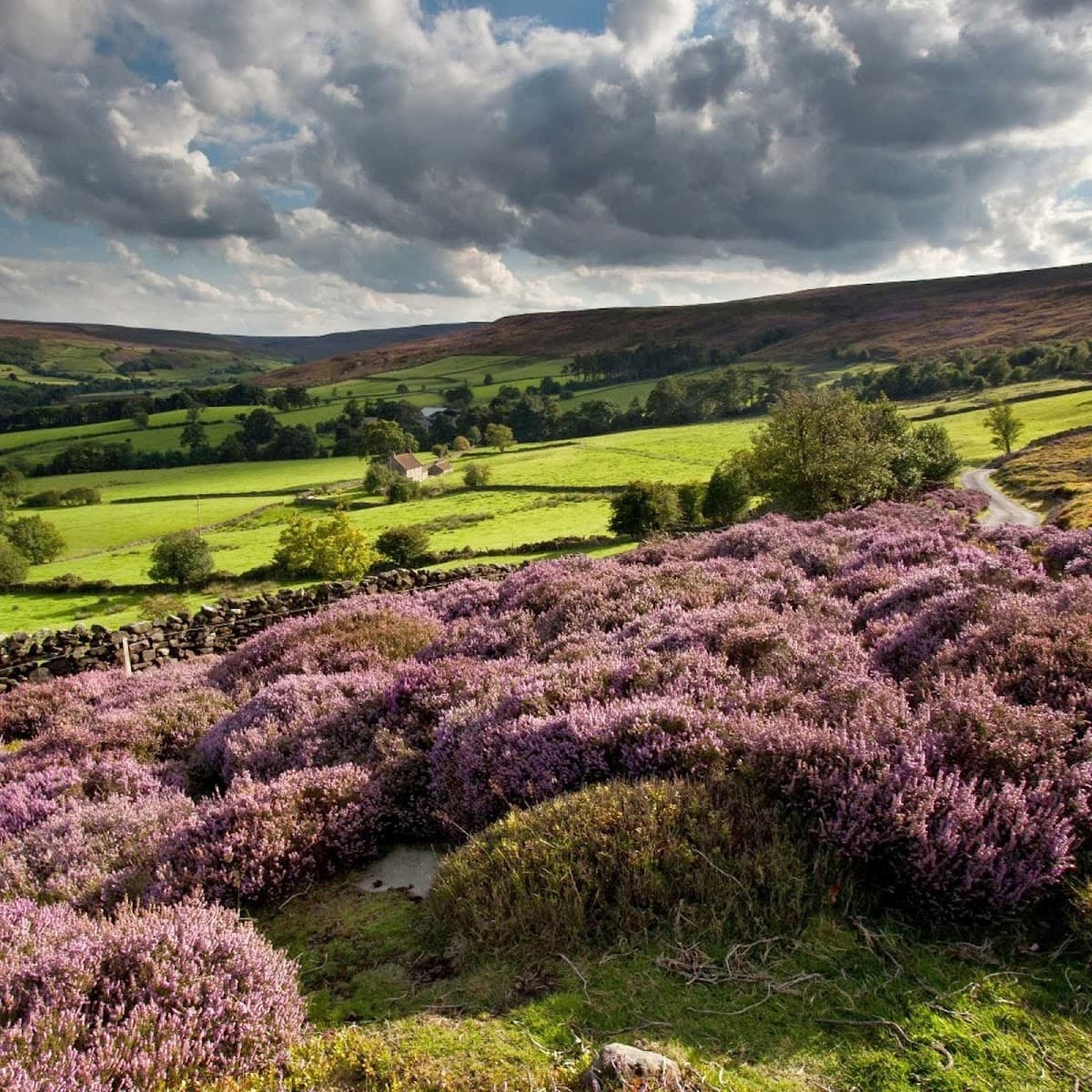 North York Moors, 4