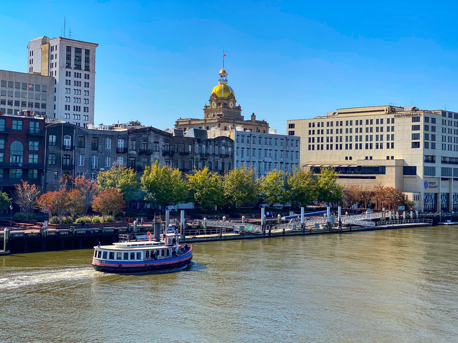 Savannah, 3