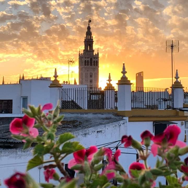 Seville, 3