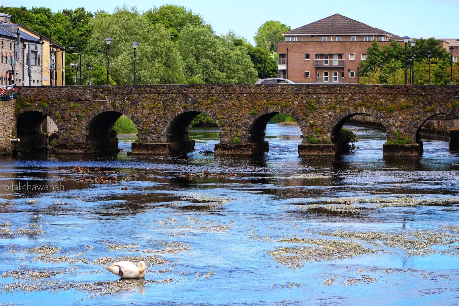 Sligo