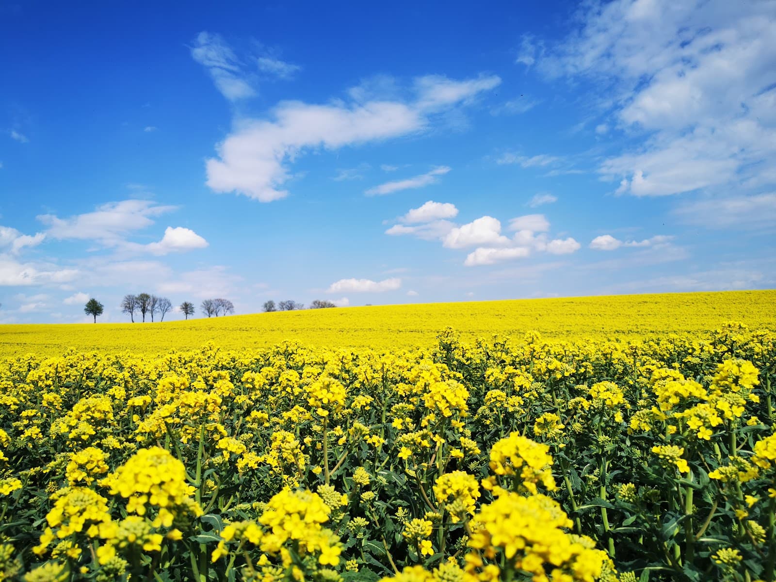 Southern Poland