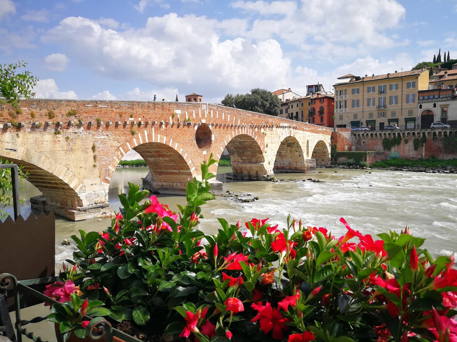 Verona, 4