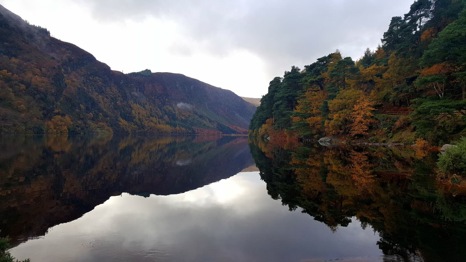 Wicklow, 4