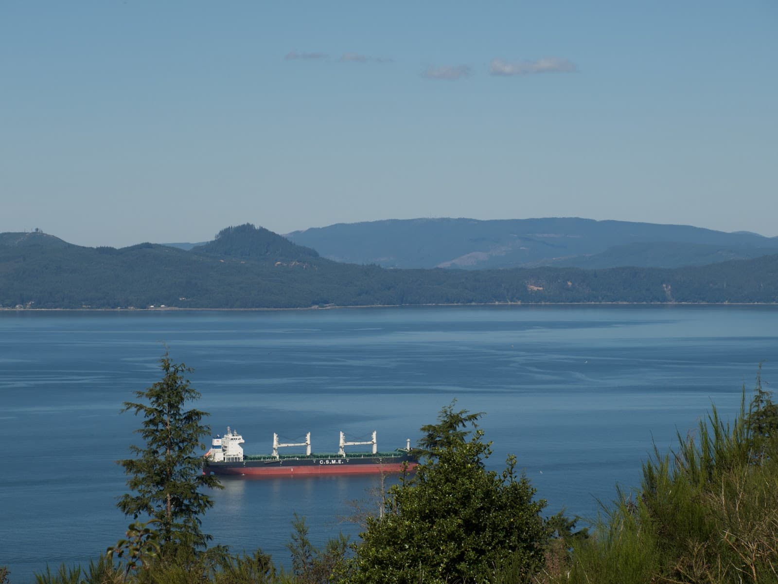 Astoria Column, a closer look