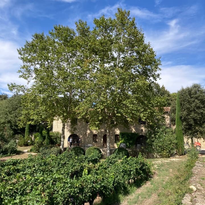 Château la Canorgue