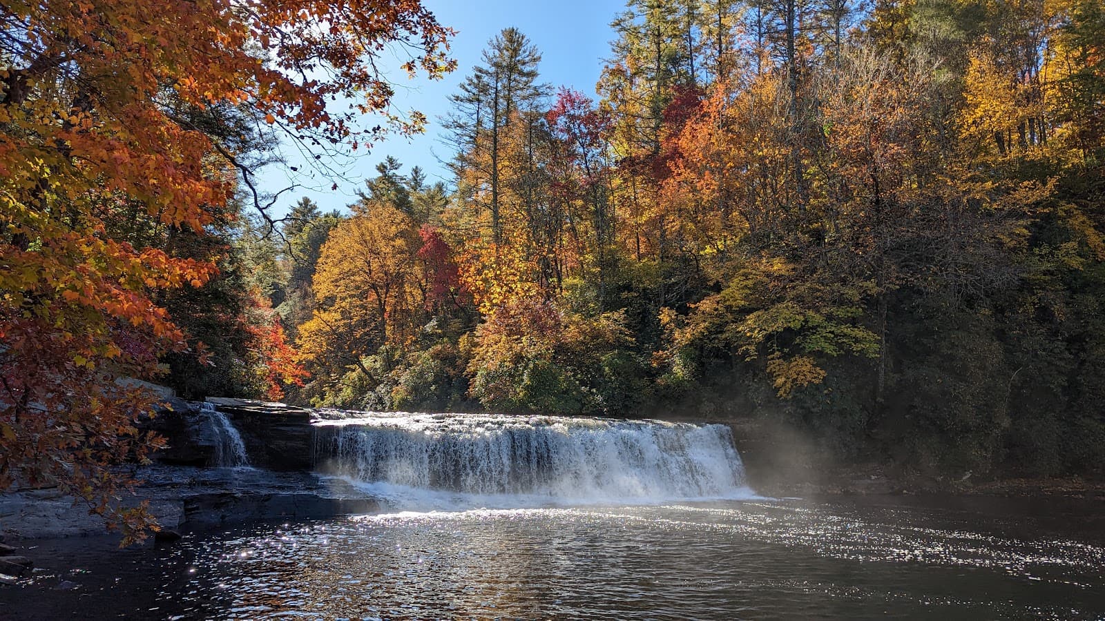 DuPont State Forest, a closer look