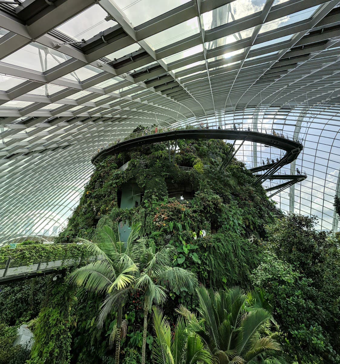 Gardens by the Bay, aus der Nähe