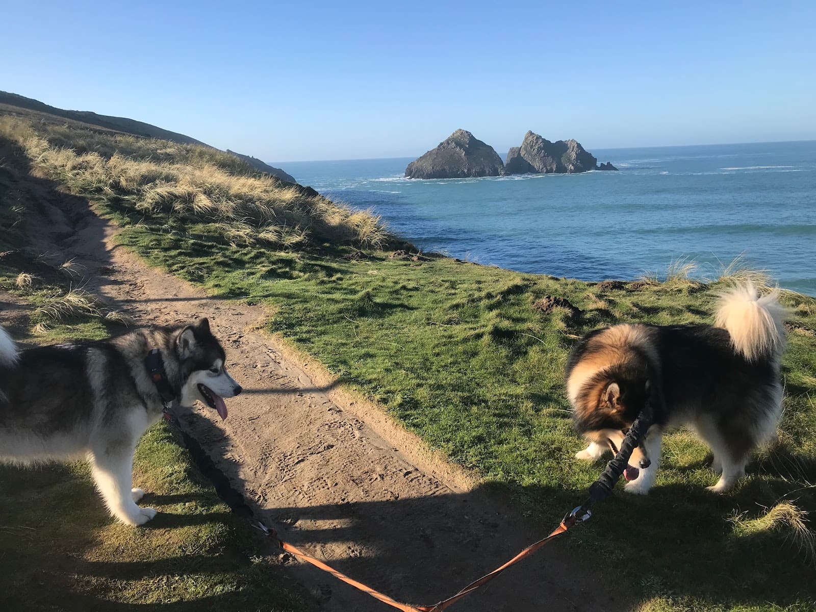 Holywell Bay, de cerca