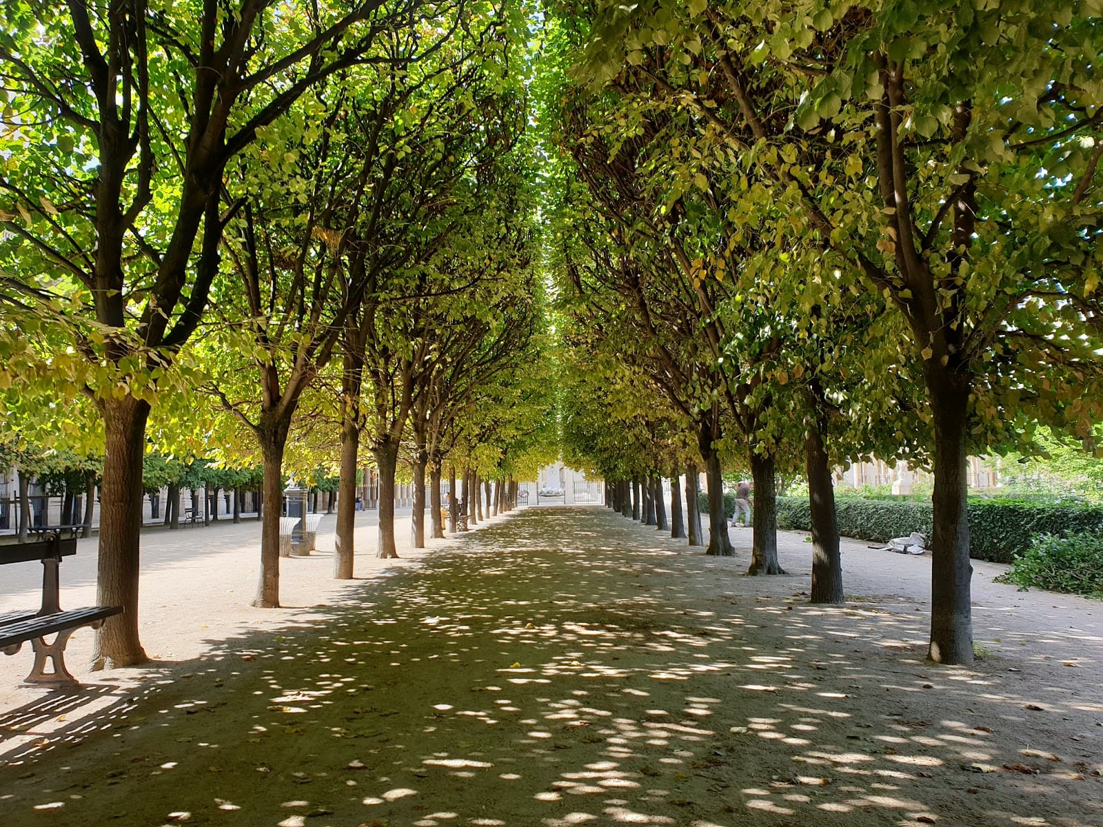 Jardin du Palais-Royal