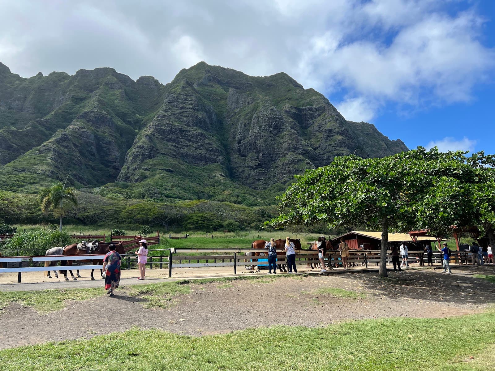 Kualoa Ranch, a closer look