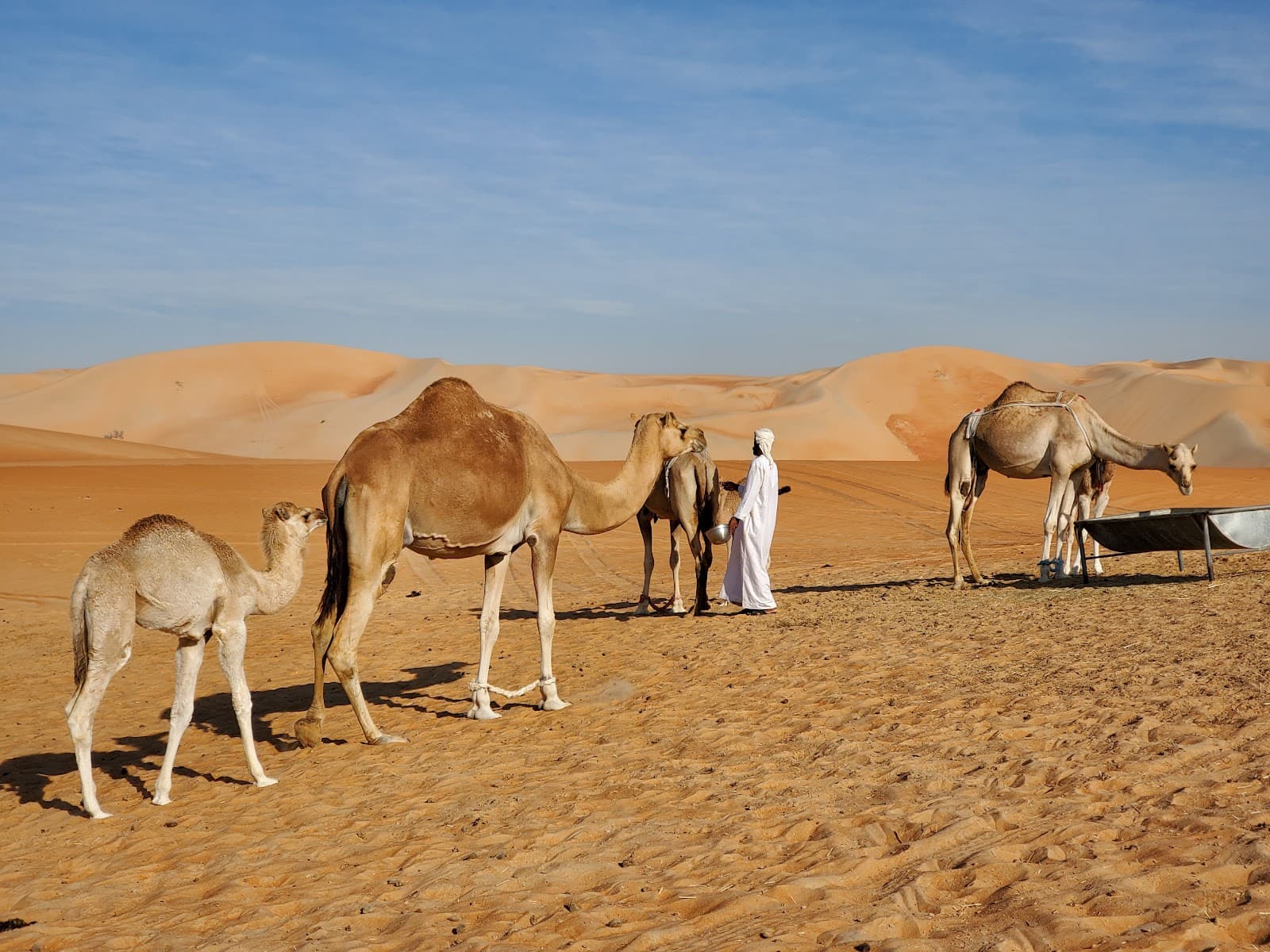 Liwa Desert