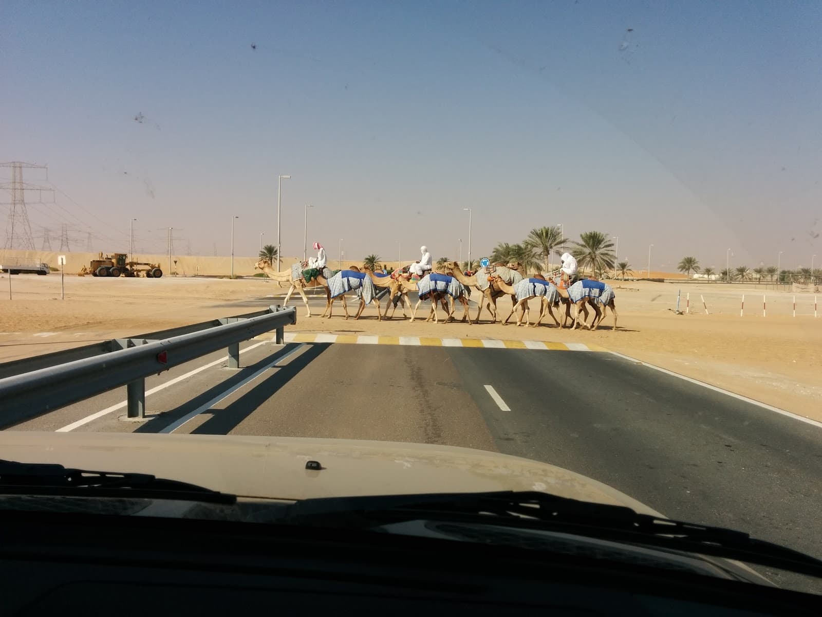 Liwa Desert, de plus près