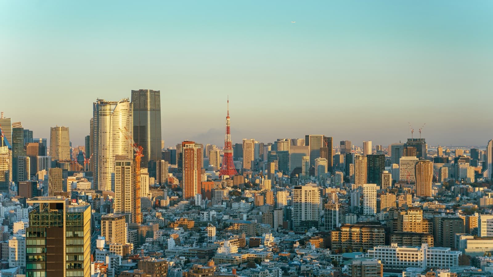 Lost in Translation