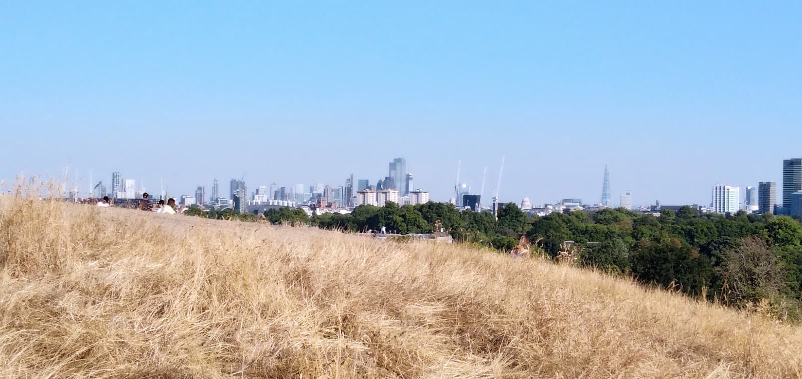 Primrose Hill