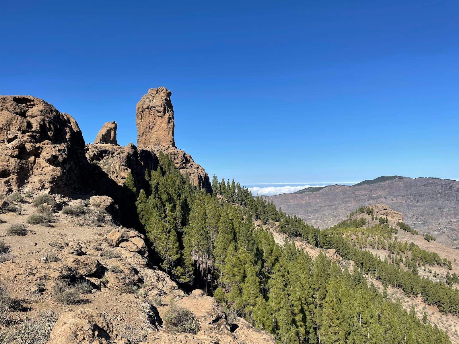 Roque Nublo, da vicino
