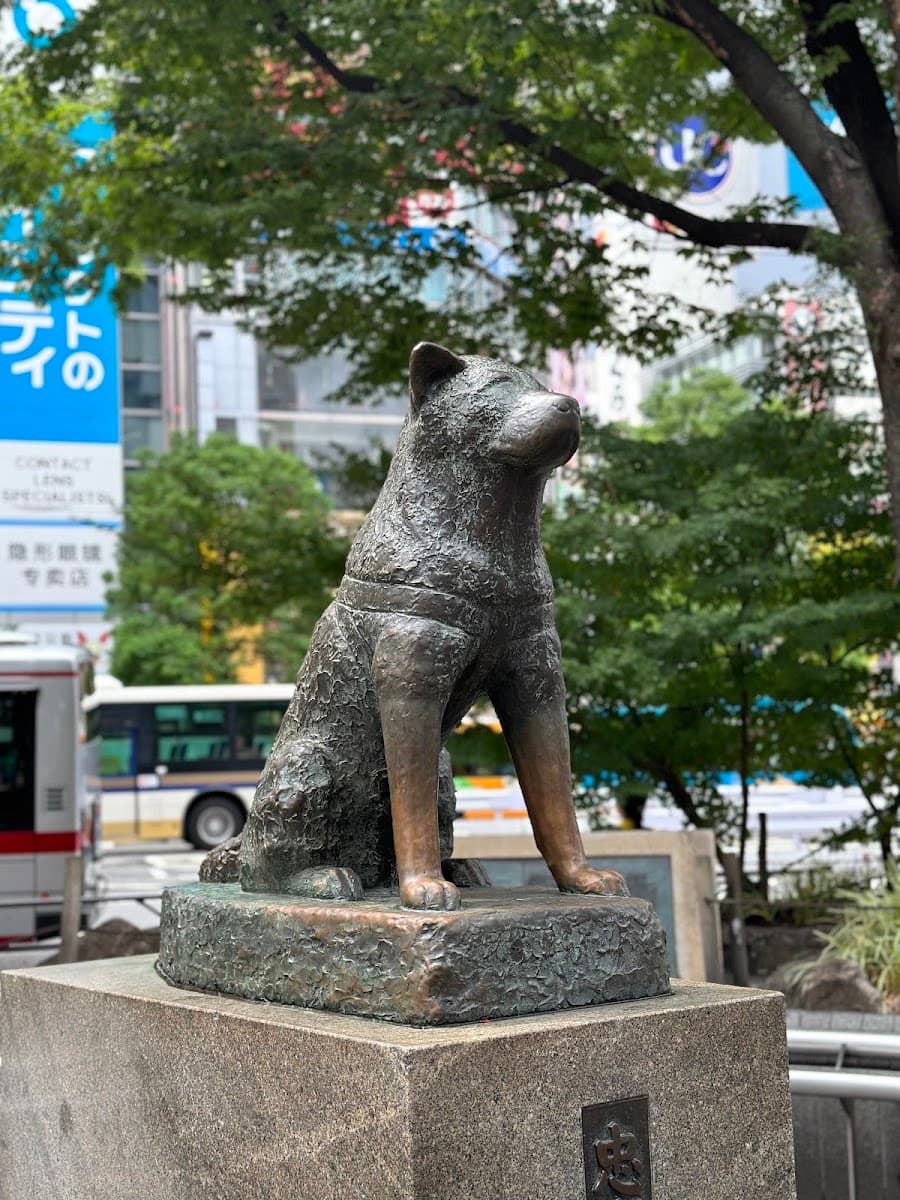 Shibuya Crossing, de cerca