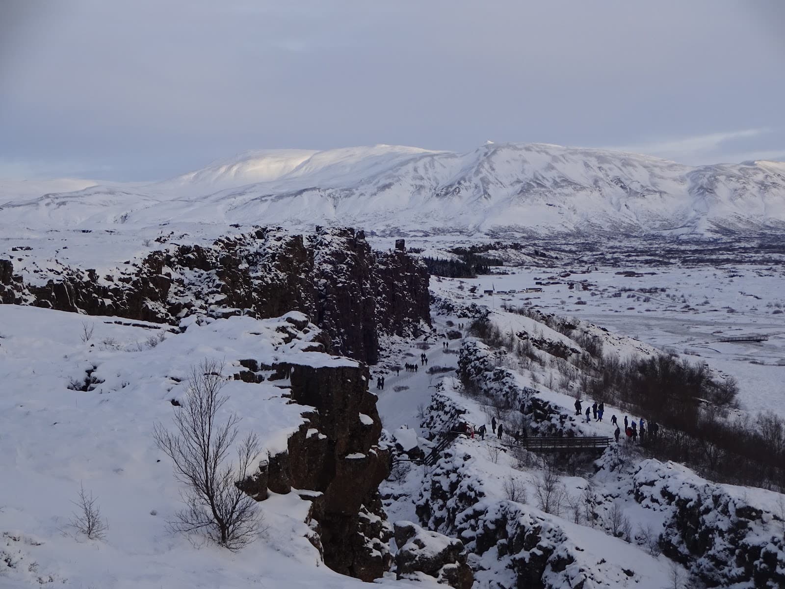 Þingvellir National Park, a closer look